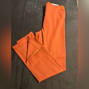 Ann Taylor Burnt Orange Trousers